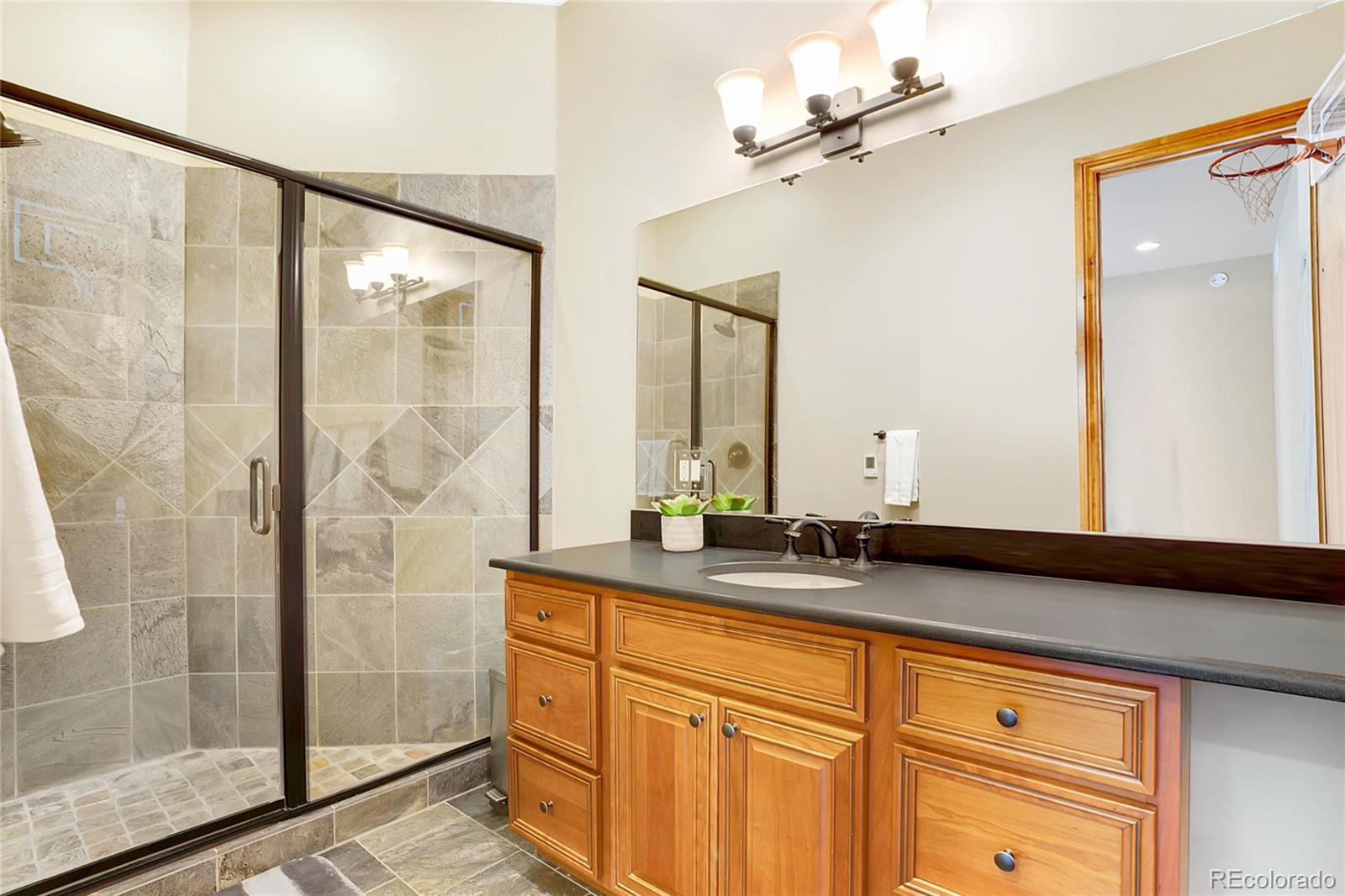 MLS Image #24 for 1551  snyder gulch road,evergreen, Colorado