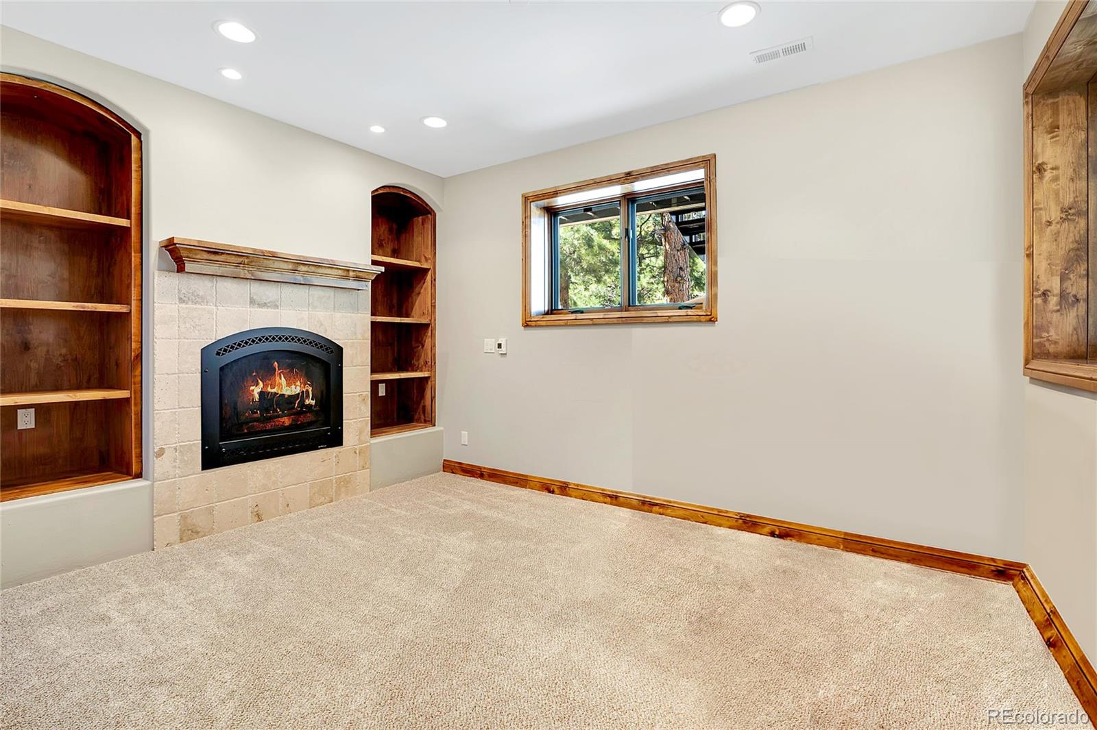 MLS Image #33 for 1551  snyder gulch road,evergreen, Colorado