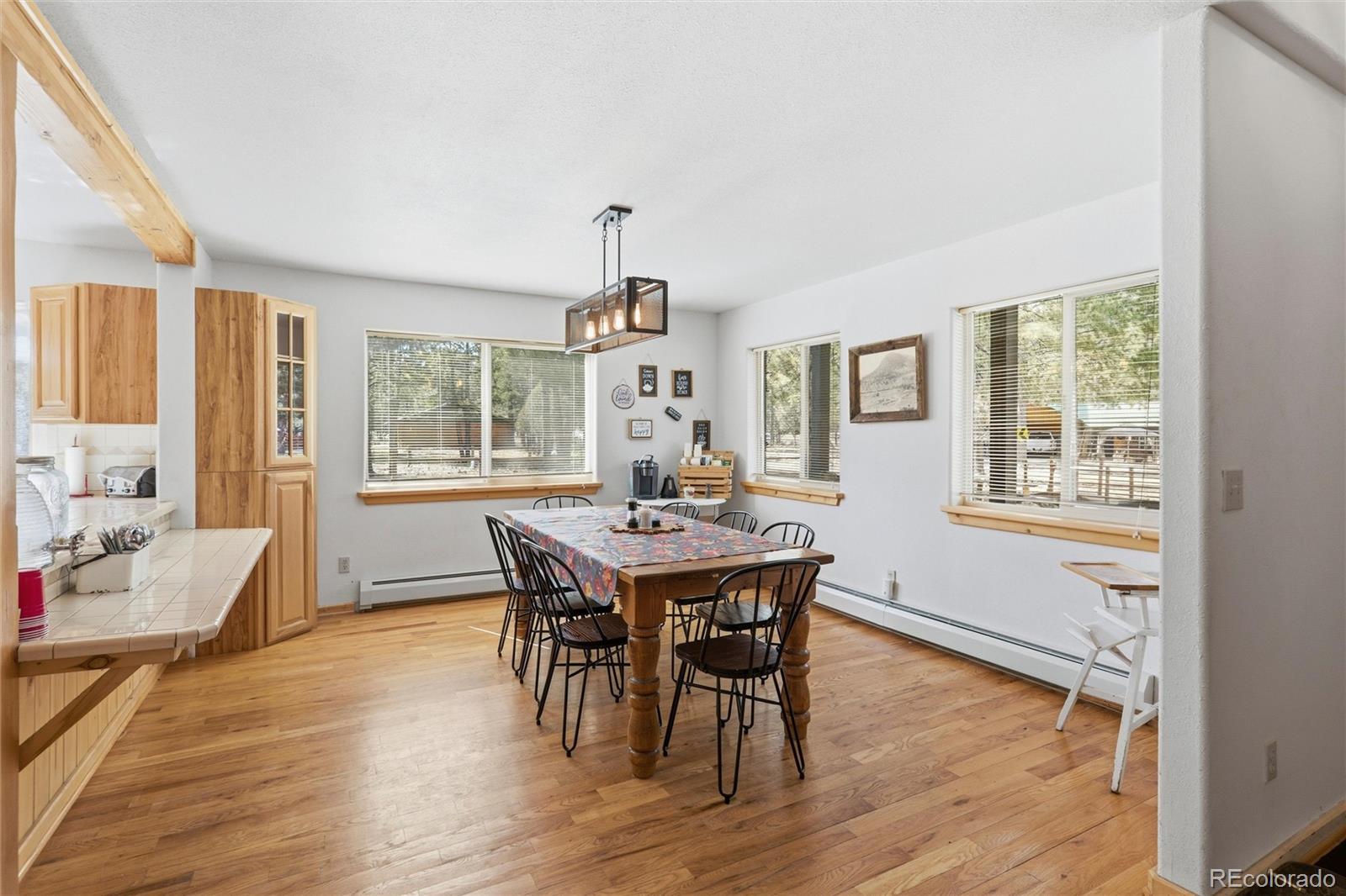 MLS Image #1 for 100  spruce drive,south fork, Colorado