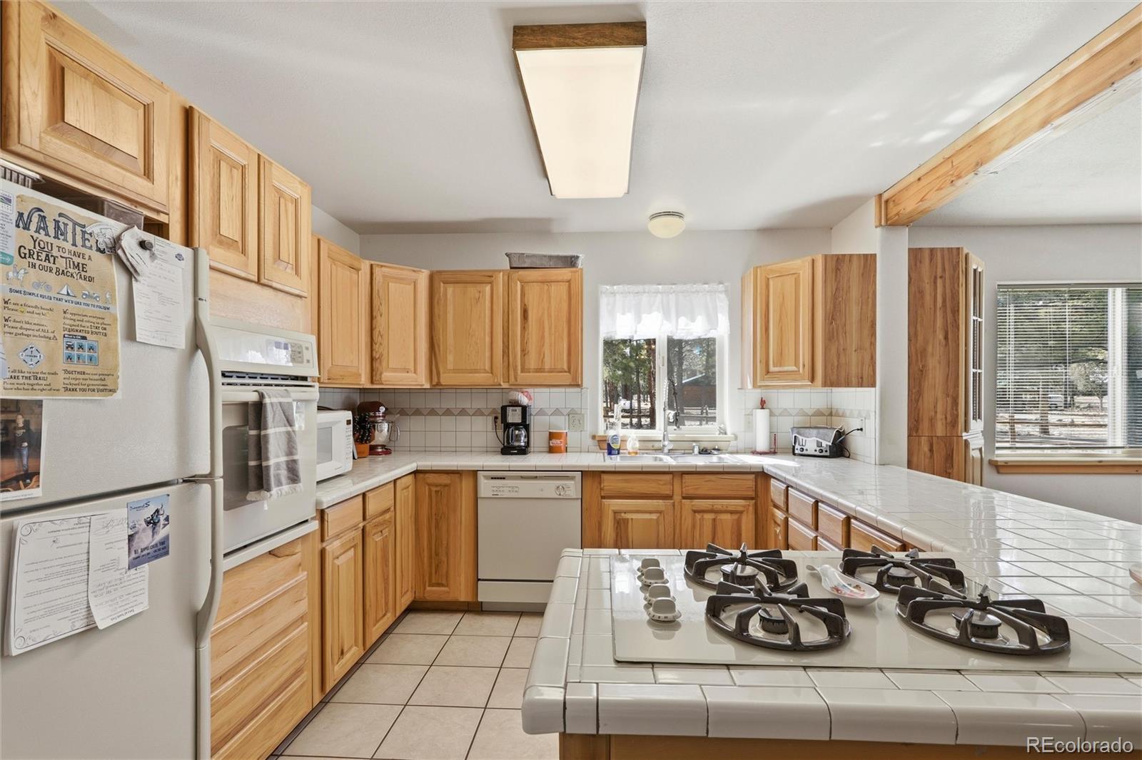 MLS Image #3 for 100  spruce drive,south fork, Colorado