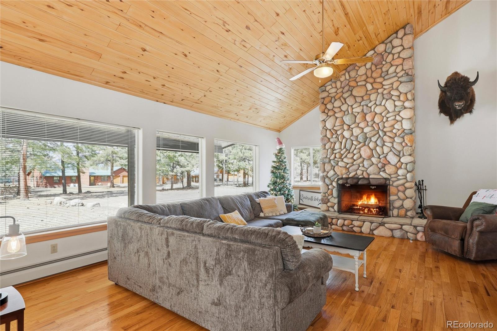 MLS Image #4 for 100  spruce drive,south fork, Colorado