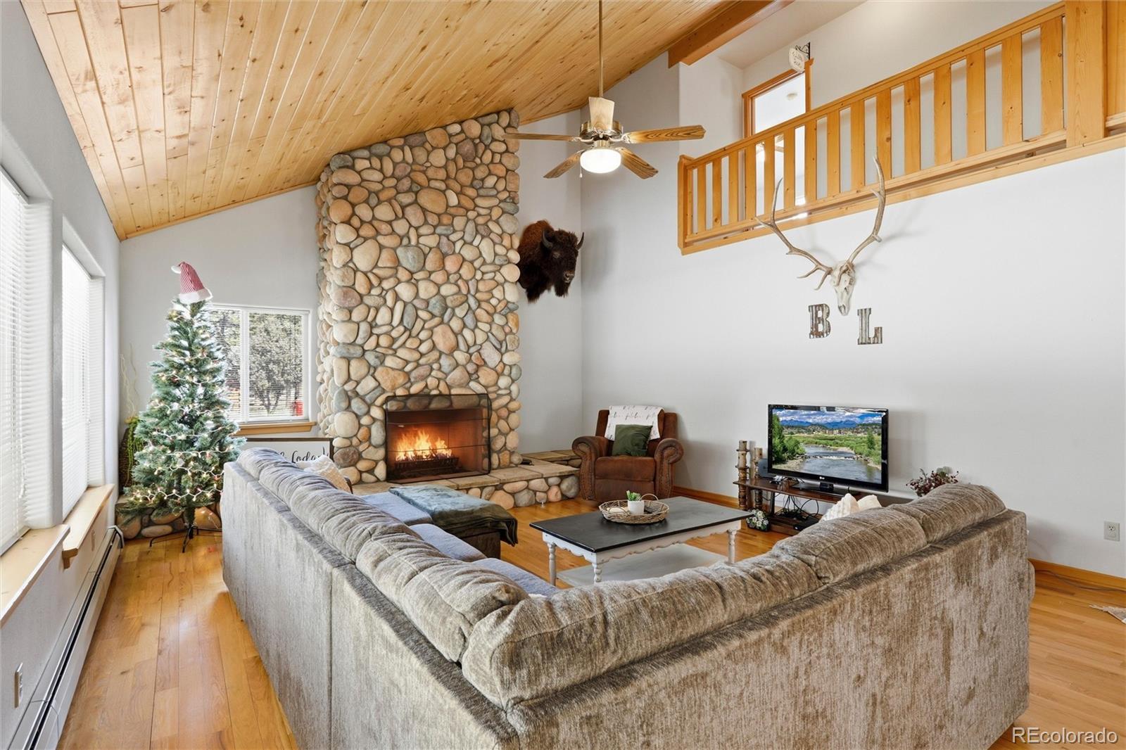 MLS Image #5 for 100  spruce drive,south fork, Colorado
