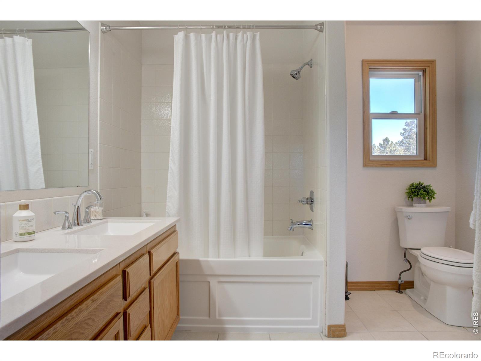 MLS Image #12 for 28  valley view lane,evergreen, Colorado