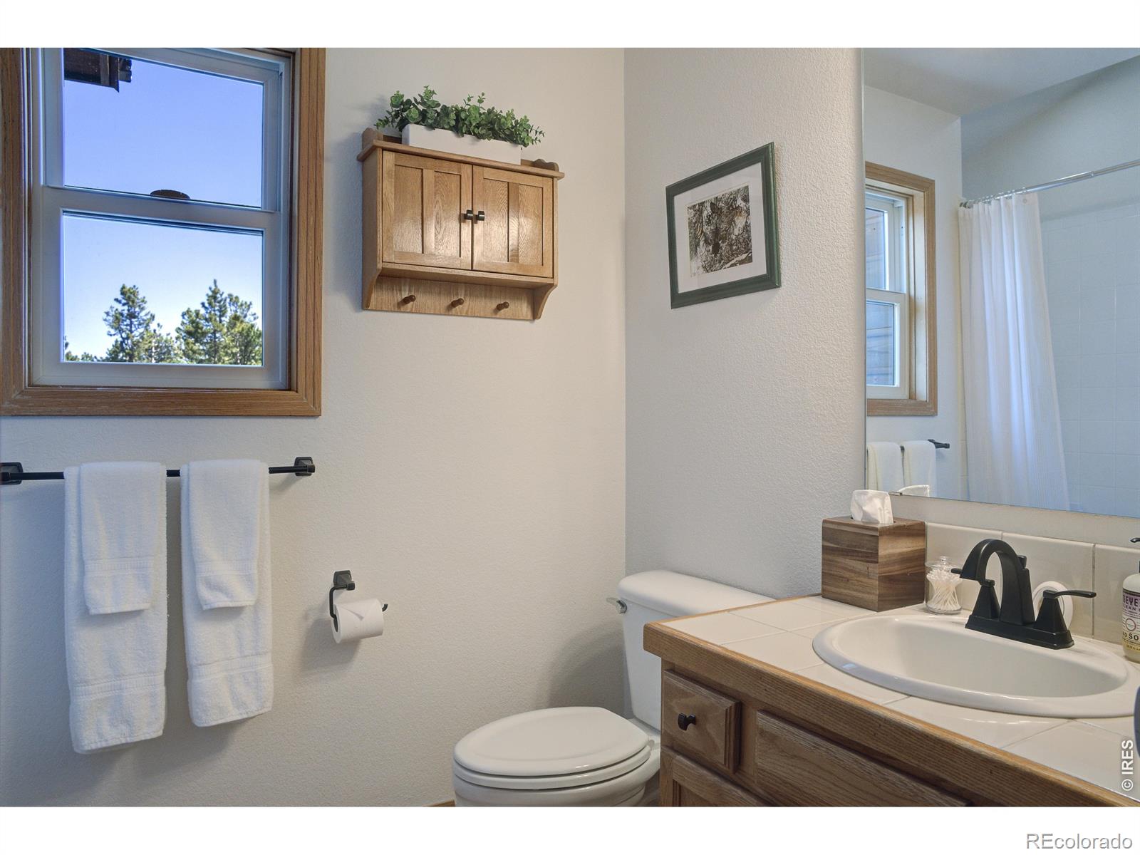 MLS Image #13 for 28  valley view lane,evergreen, Colorado