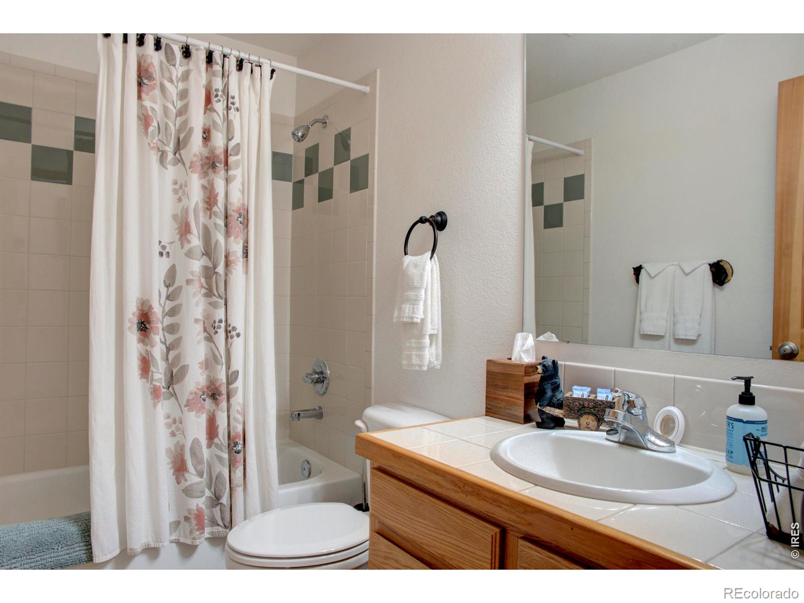 MLS Image #14 for 28  valley view lane,evergreen, Colorado
