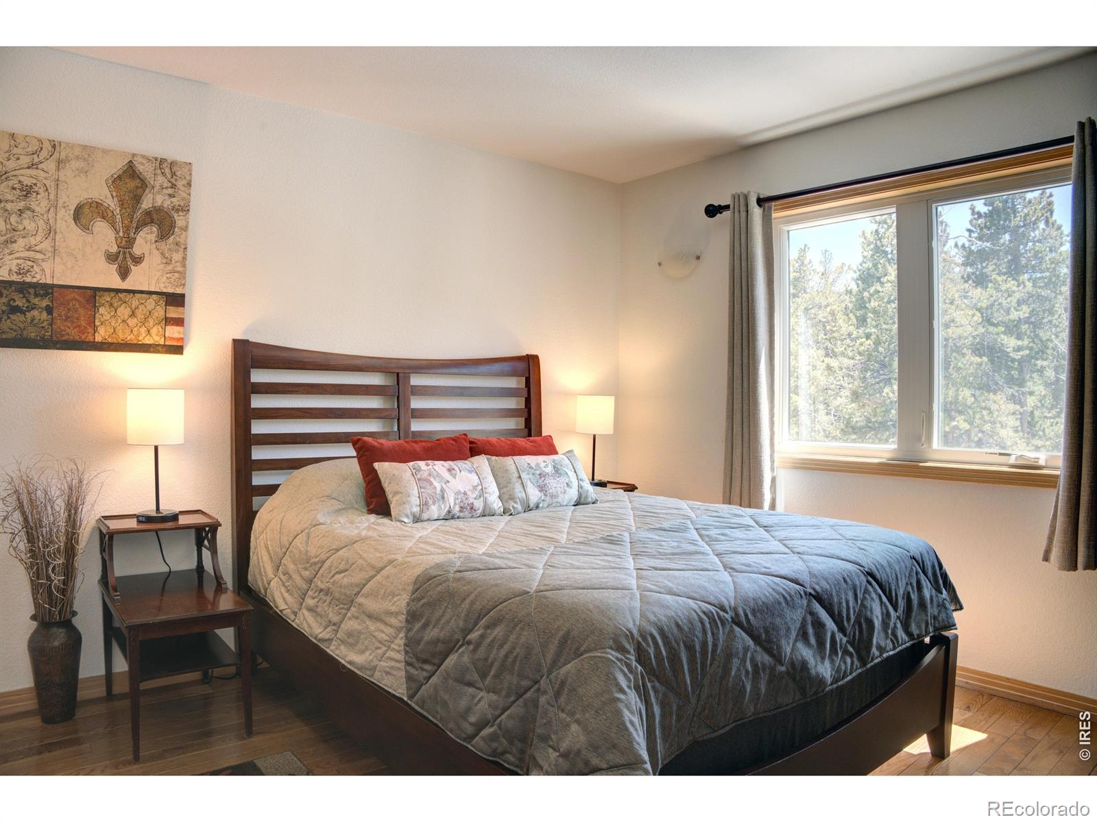 MLS Image #9 for 28  valley view lane,evergreen, Colorado