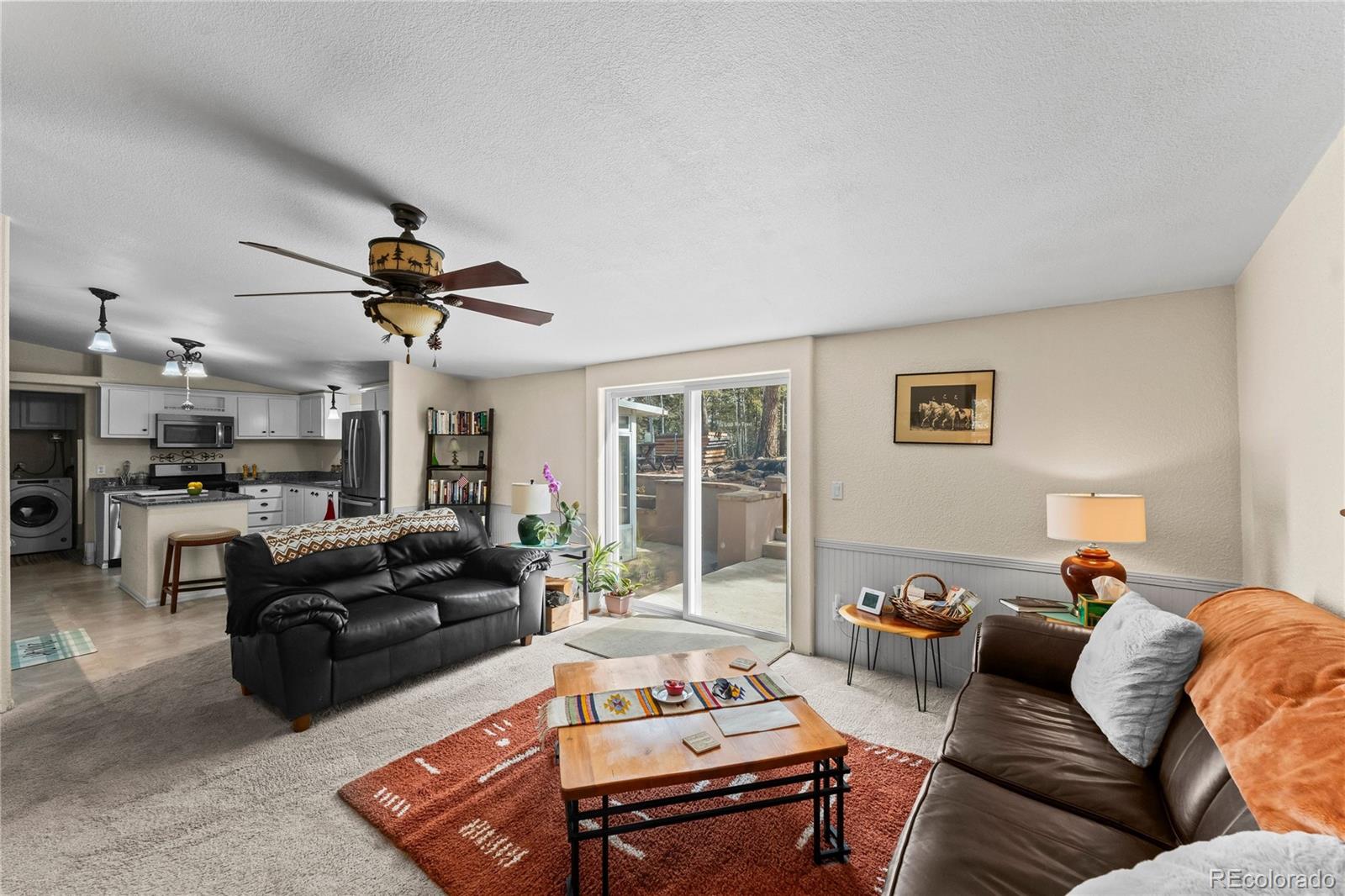 MLS Image #10 for 146  kokwapy court,florissant, Colorado