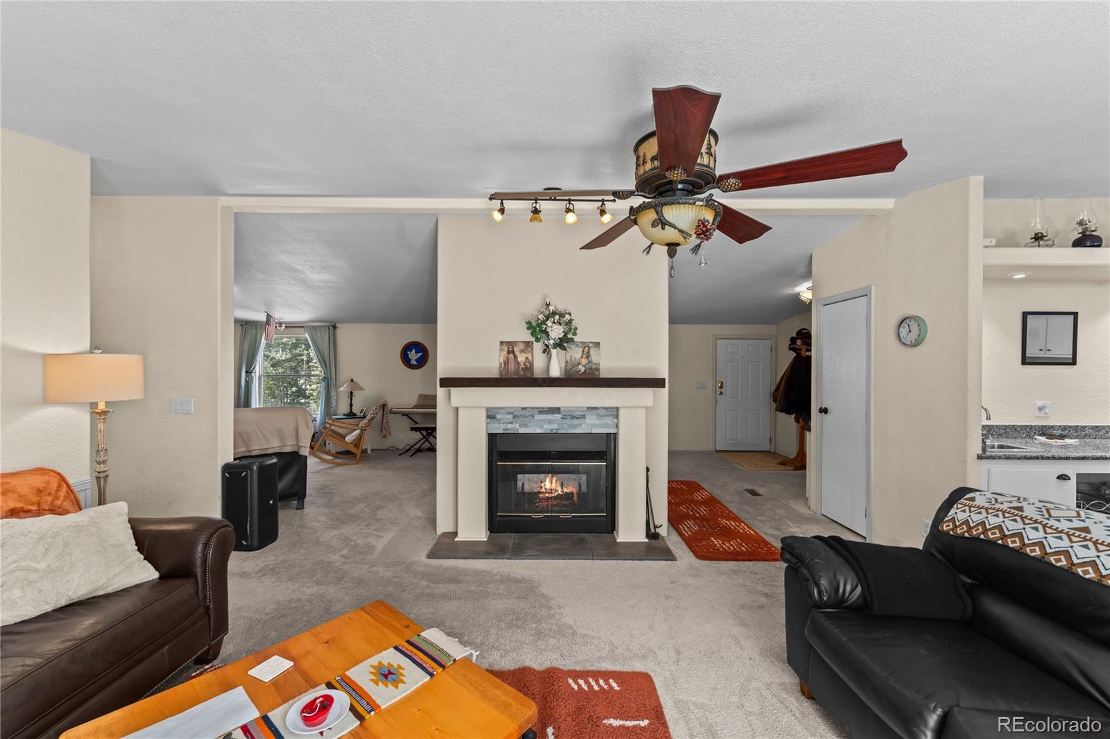 MLS Image #12 for 146  kokwapy court,florissant, Colorado