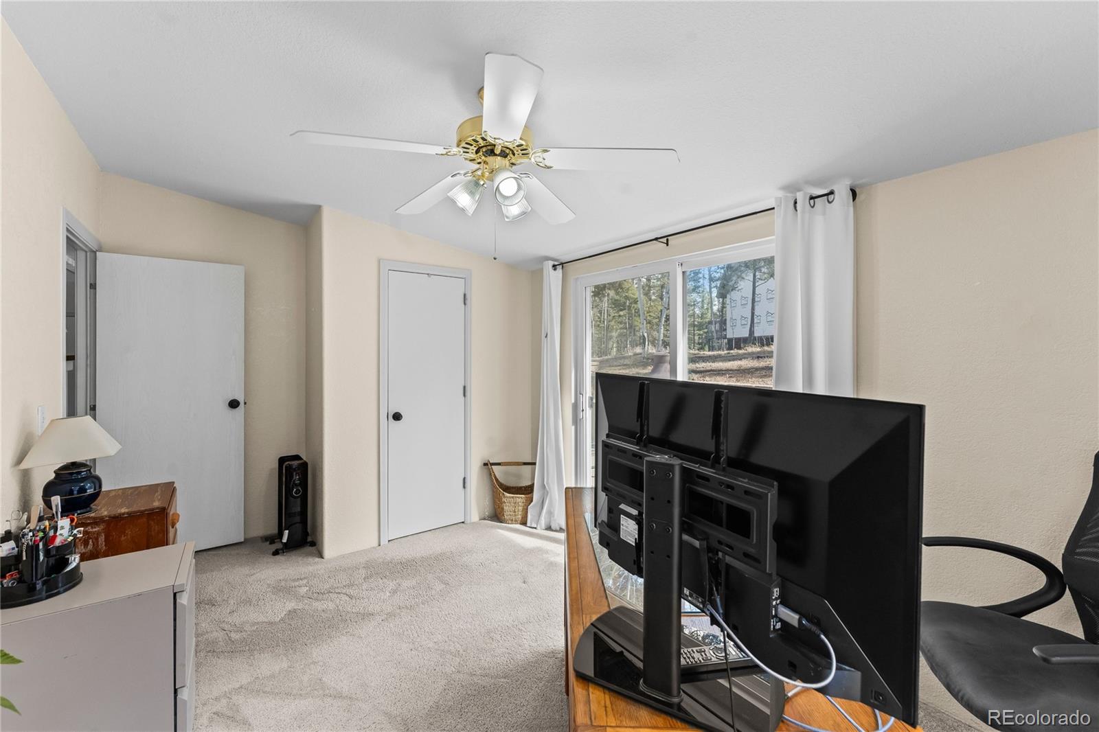 MLS Image #21 for 146  kokwapy court,florissant, Colorado