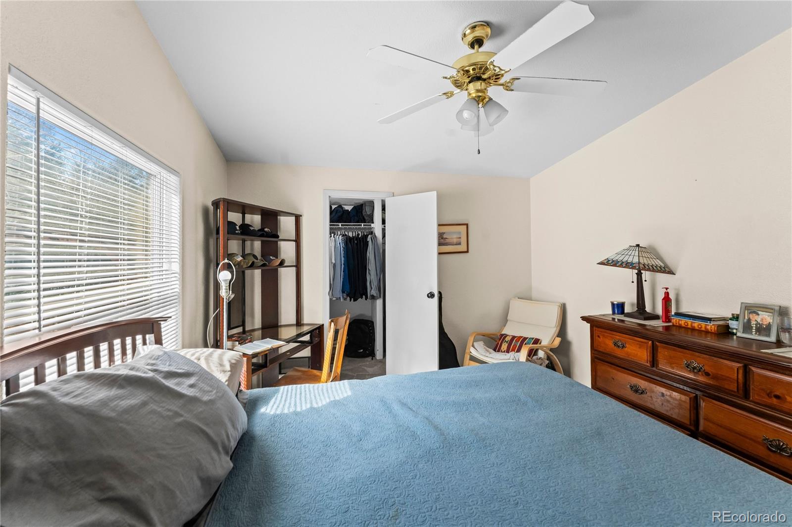 MLS Image #23 for 146  kokwapy court,florissant, Colorado