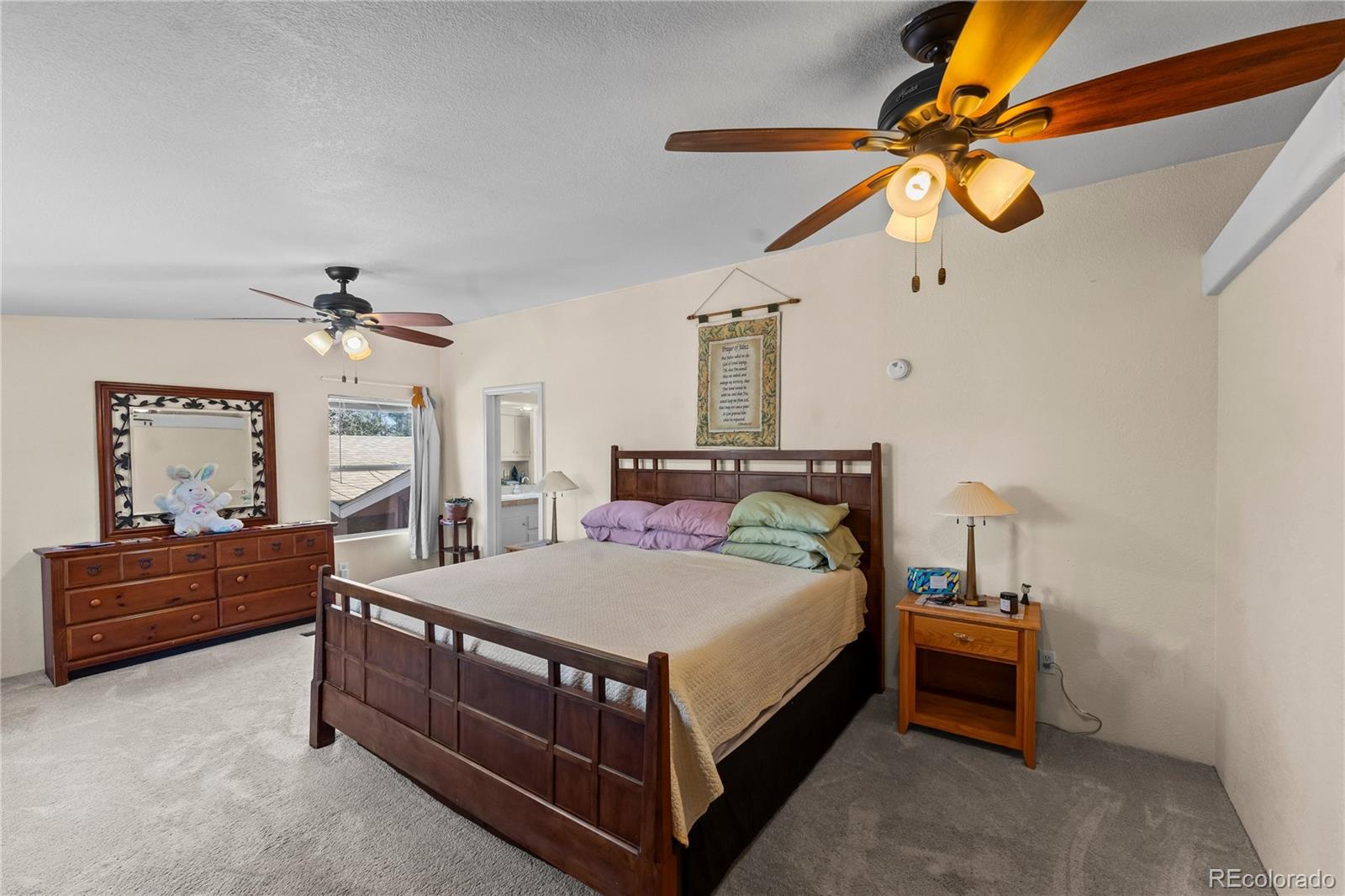 MLS Image #24 for 146  kokwapy court,florissant, Colorado