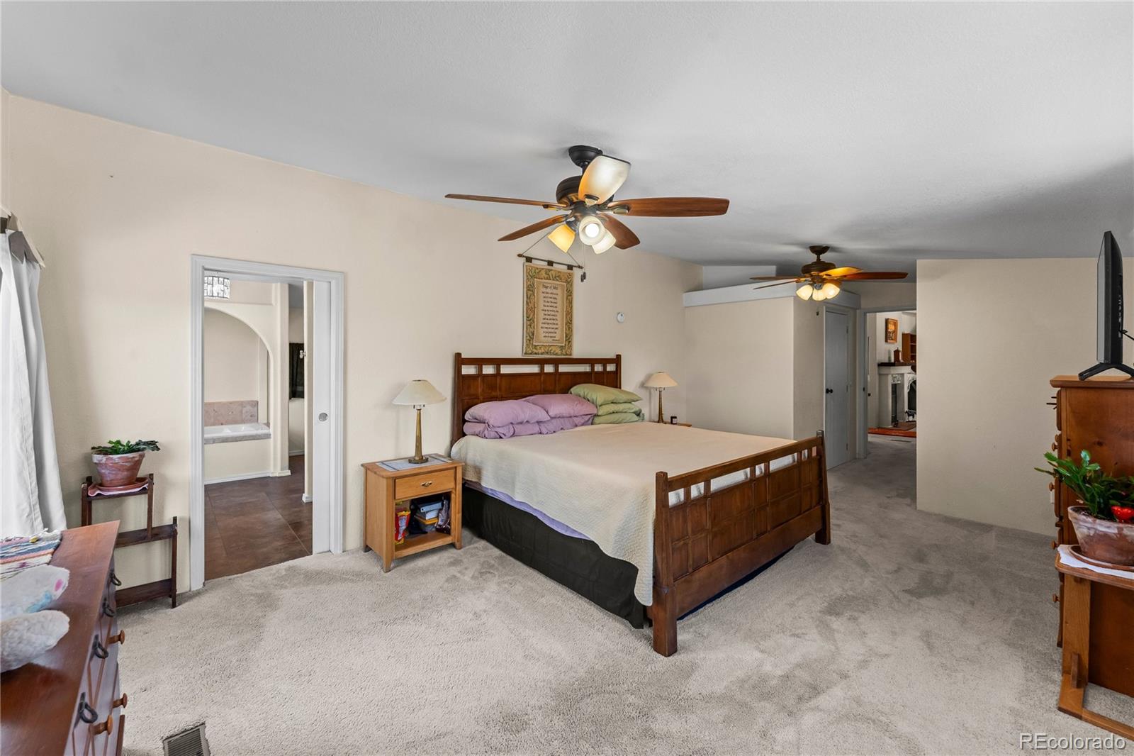 MLS Image #25 for 146  kokwapy court,florissant, Colorado