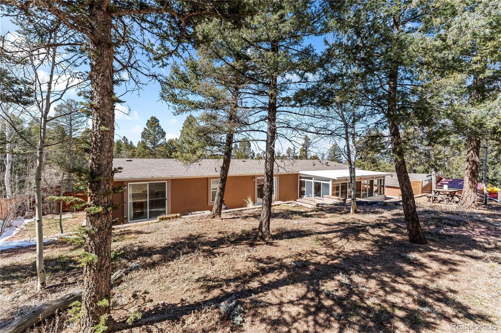 MLS Image #34 for 146  kokwapy court,florissant, Colorado