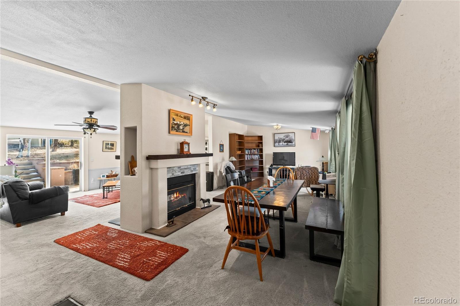 MLS Image #5 for 146  kokwapy court,florissant, Colorado