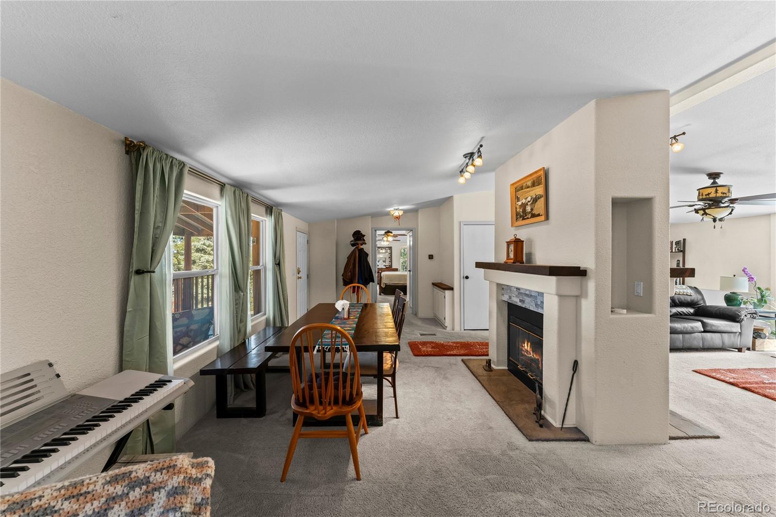 MLS Image #6 for 146  kokwapy court,florissant, Colorado