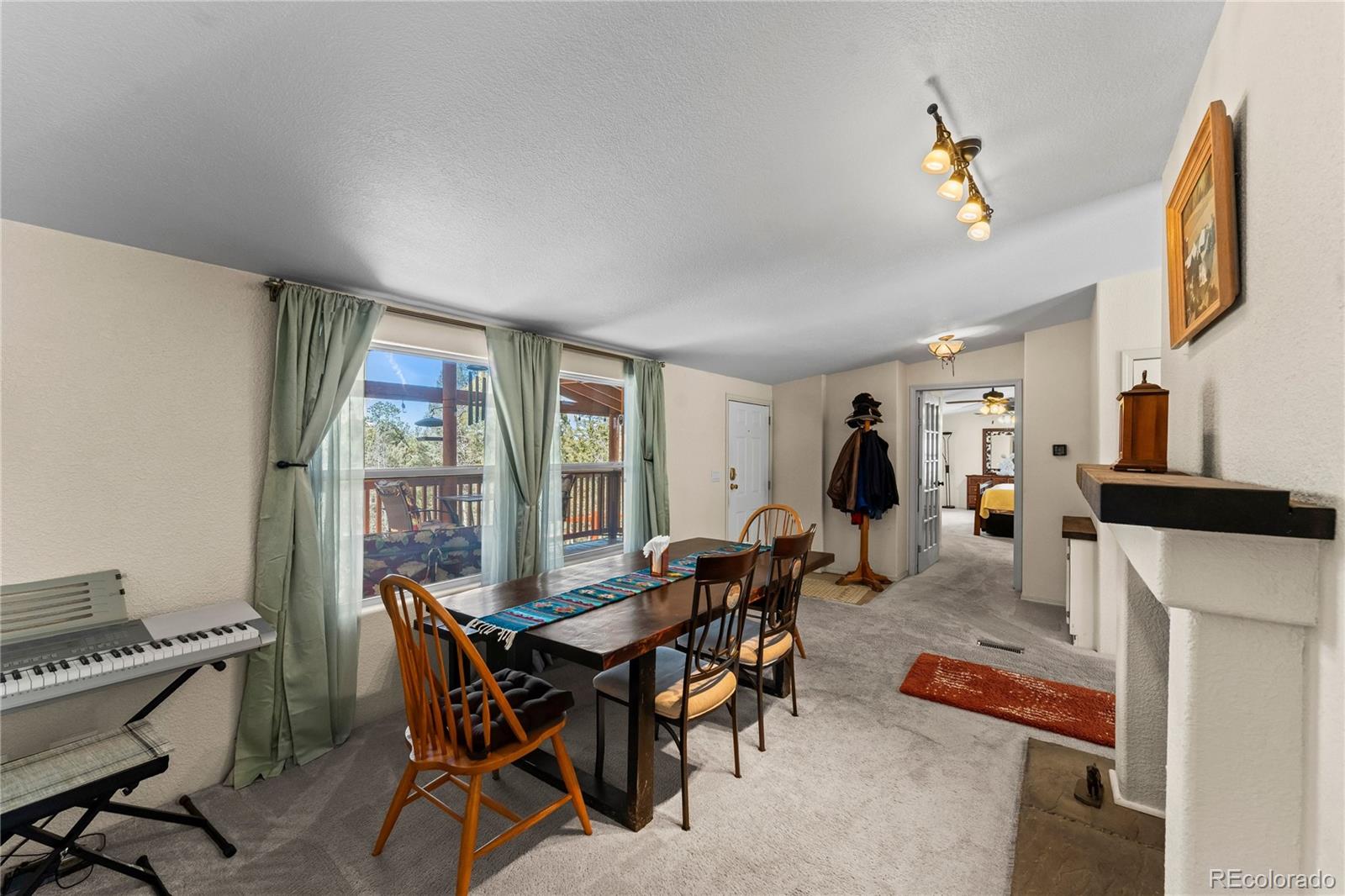 MLS Image #7 for 146  kokwapy court,florissant, Colorado