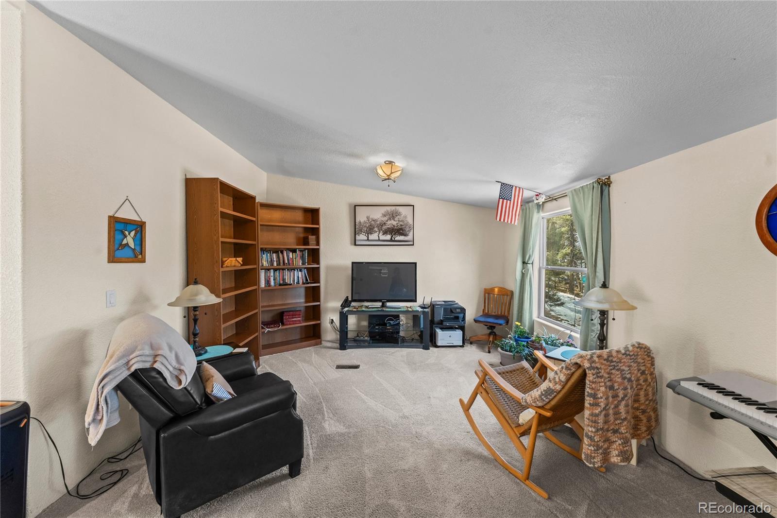 MLS Image #8 for 146  kokwapy court,florissant, Colorado