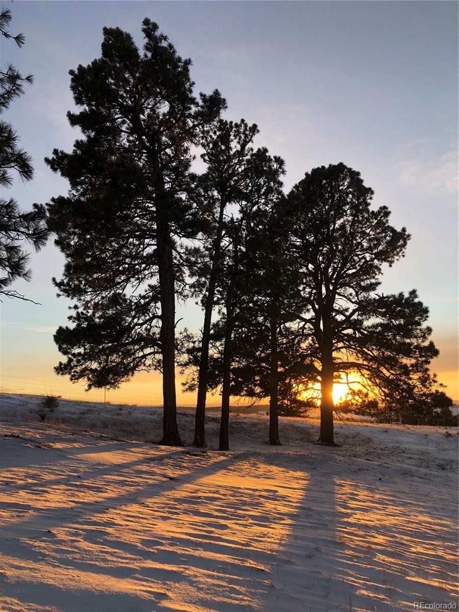 MLS Image #40 for 31885  ridge road,ramah, Colorado