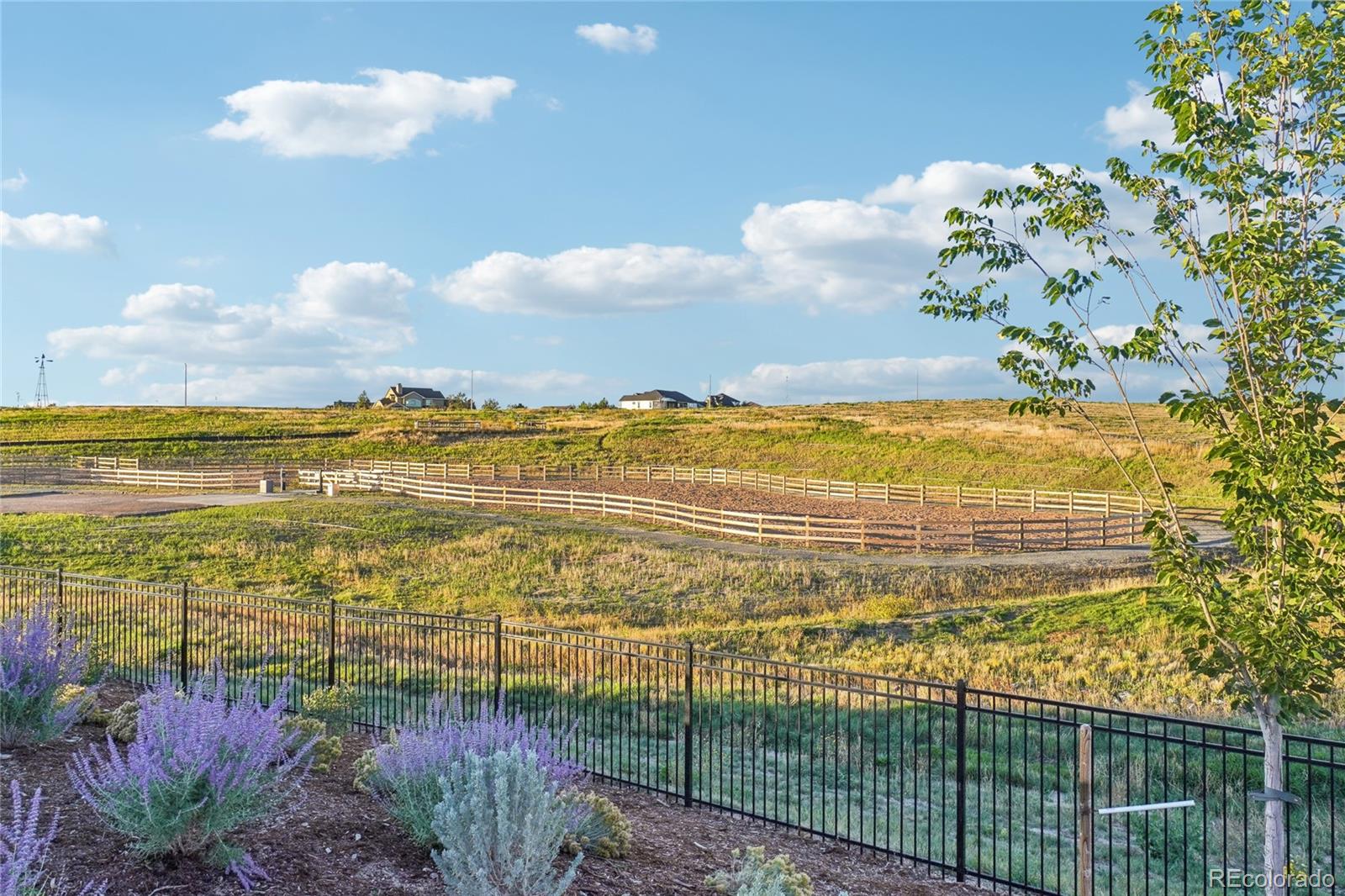 MLS Image #39 for 1148  elbridge drive,elizabeth, Colorado