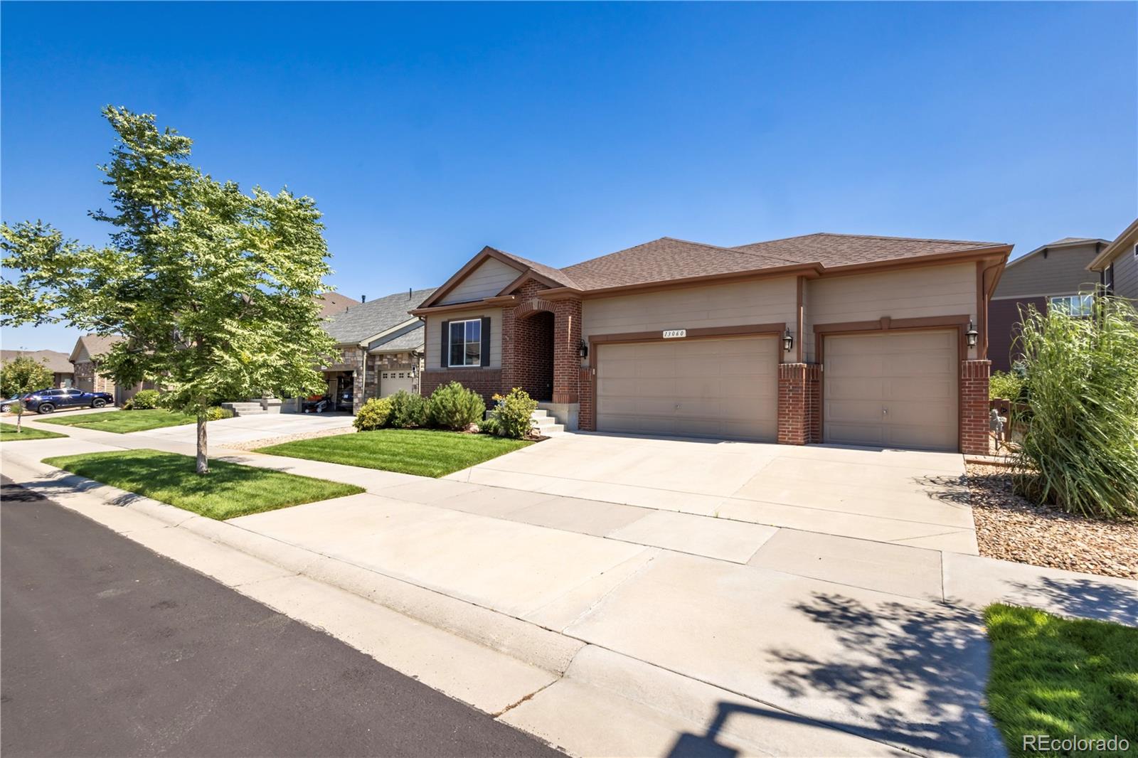 MLS Image #2 for 13060  norway maple street,parker, Colorado