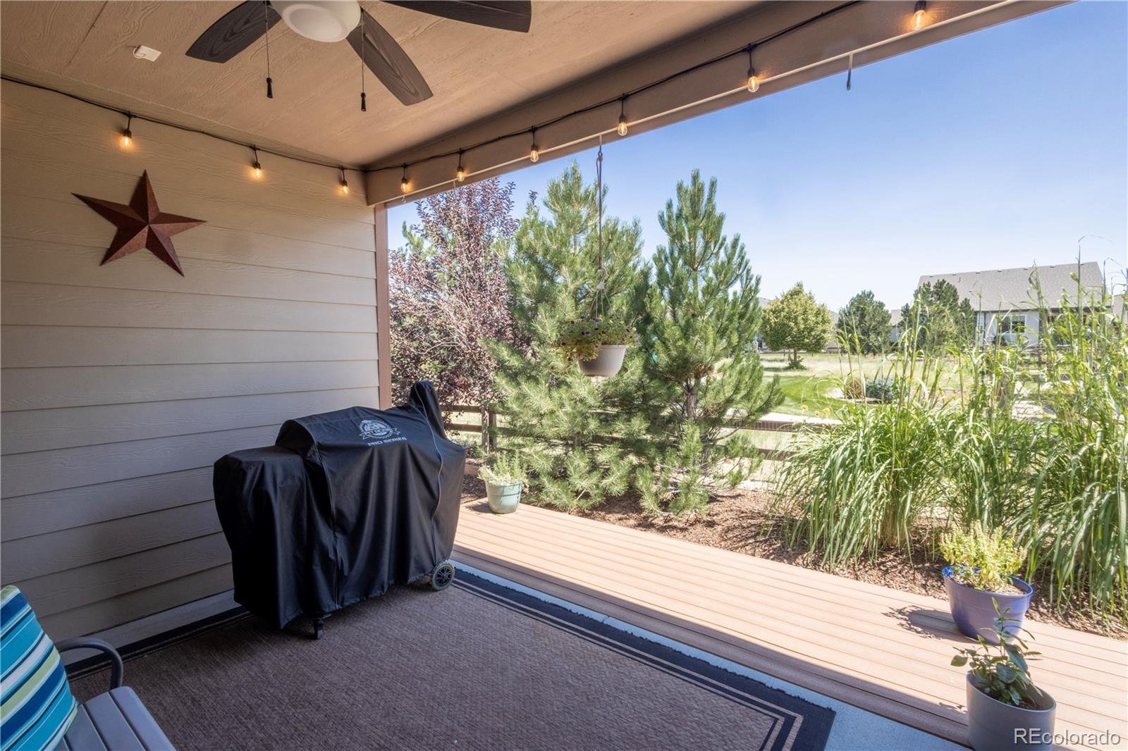 MLS Image #33 for 13060  norway maple street,parker, Colorado