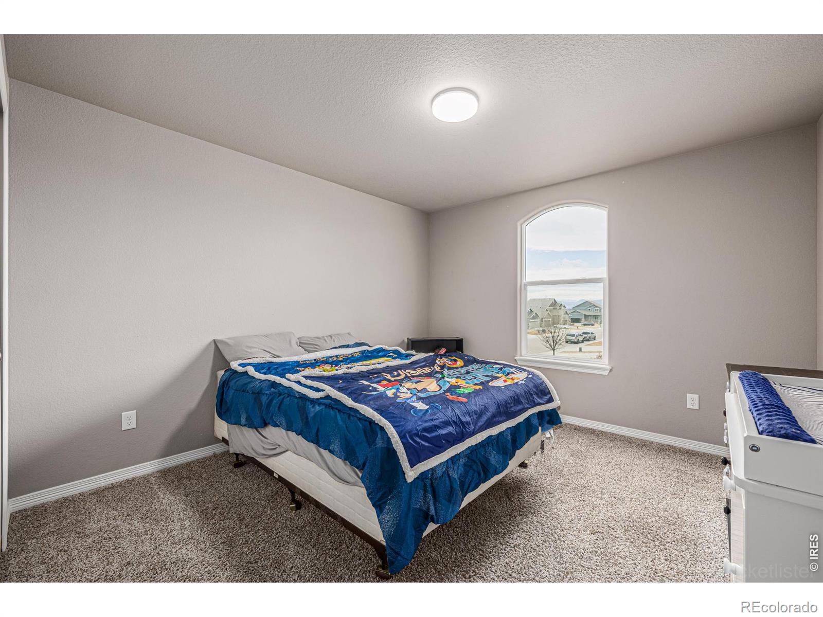 MLS Image #20 for 4689  waltham drive,windsor, Colorado