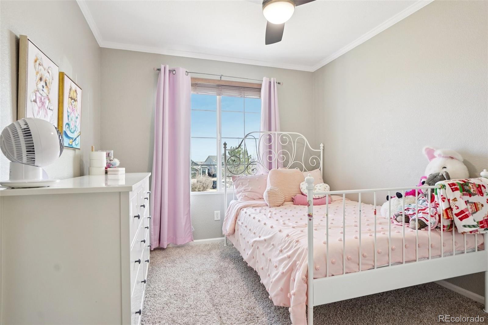 MLS Image #28 for 16524  high desert way,parker, Colorado