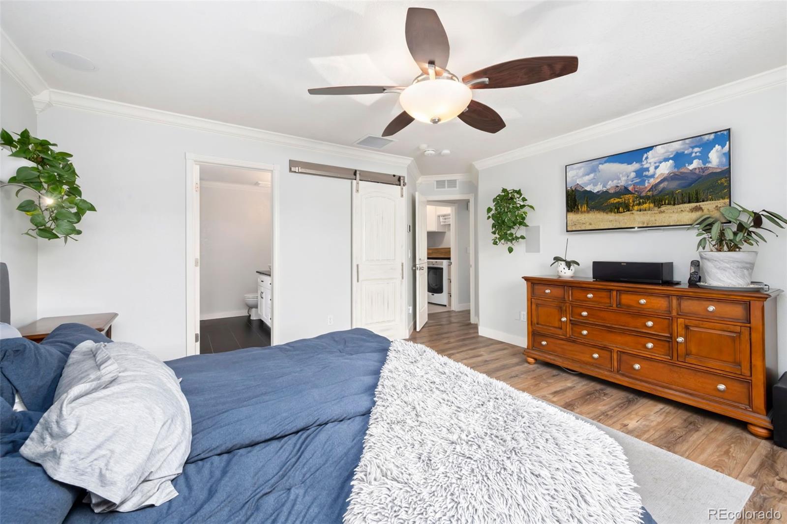 MLS Image #14 for 3696  downieville street,loveland, Colorado