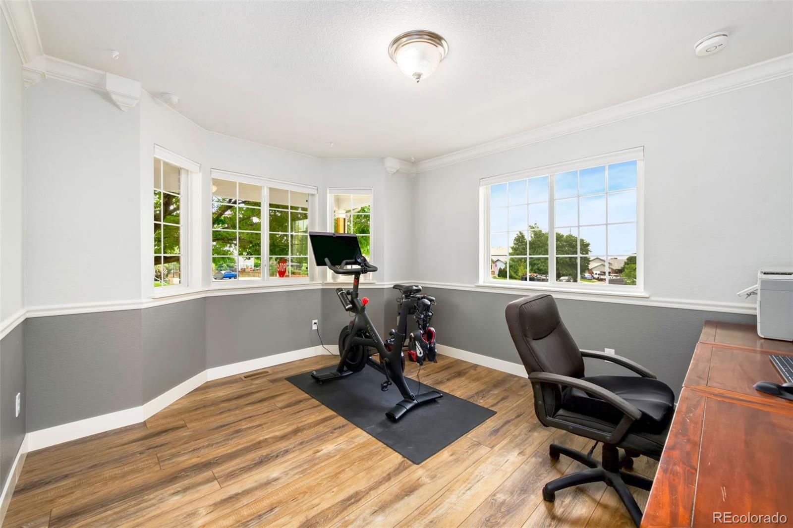 MLS Image #3 for 3696  downieville street,loveland, Colorado