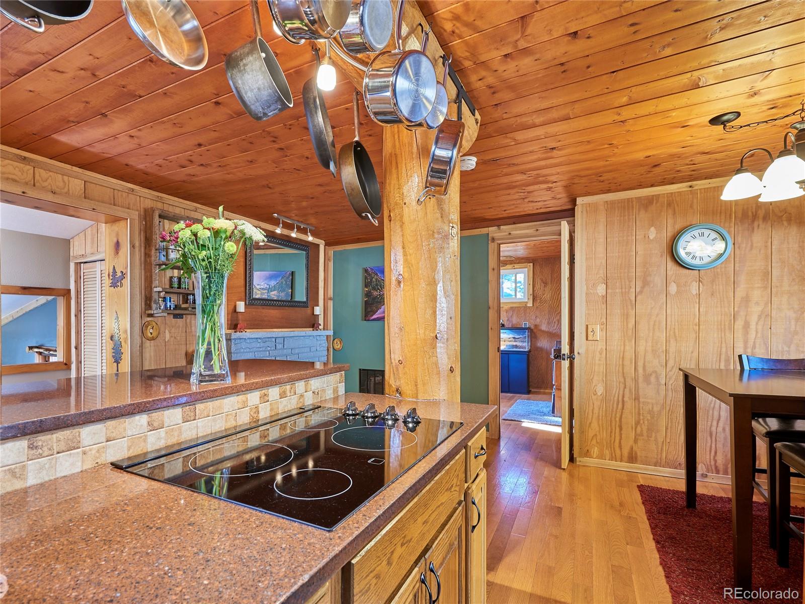 MLS Image #15 for 53  wallens place,black hawk, Colorado