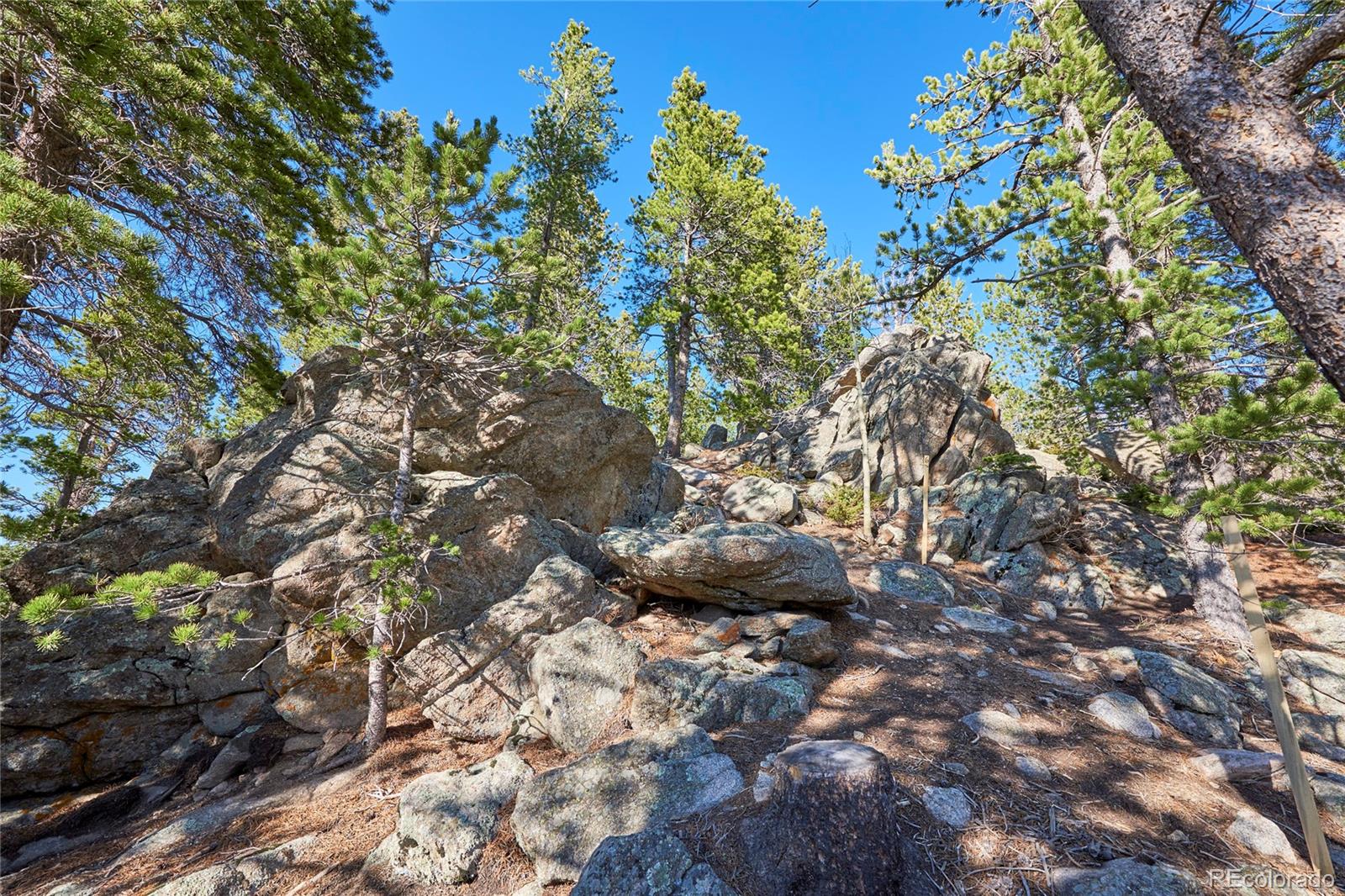 MLS Image #26 for 53  wallens place,black hawk, Colorado