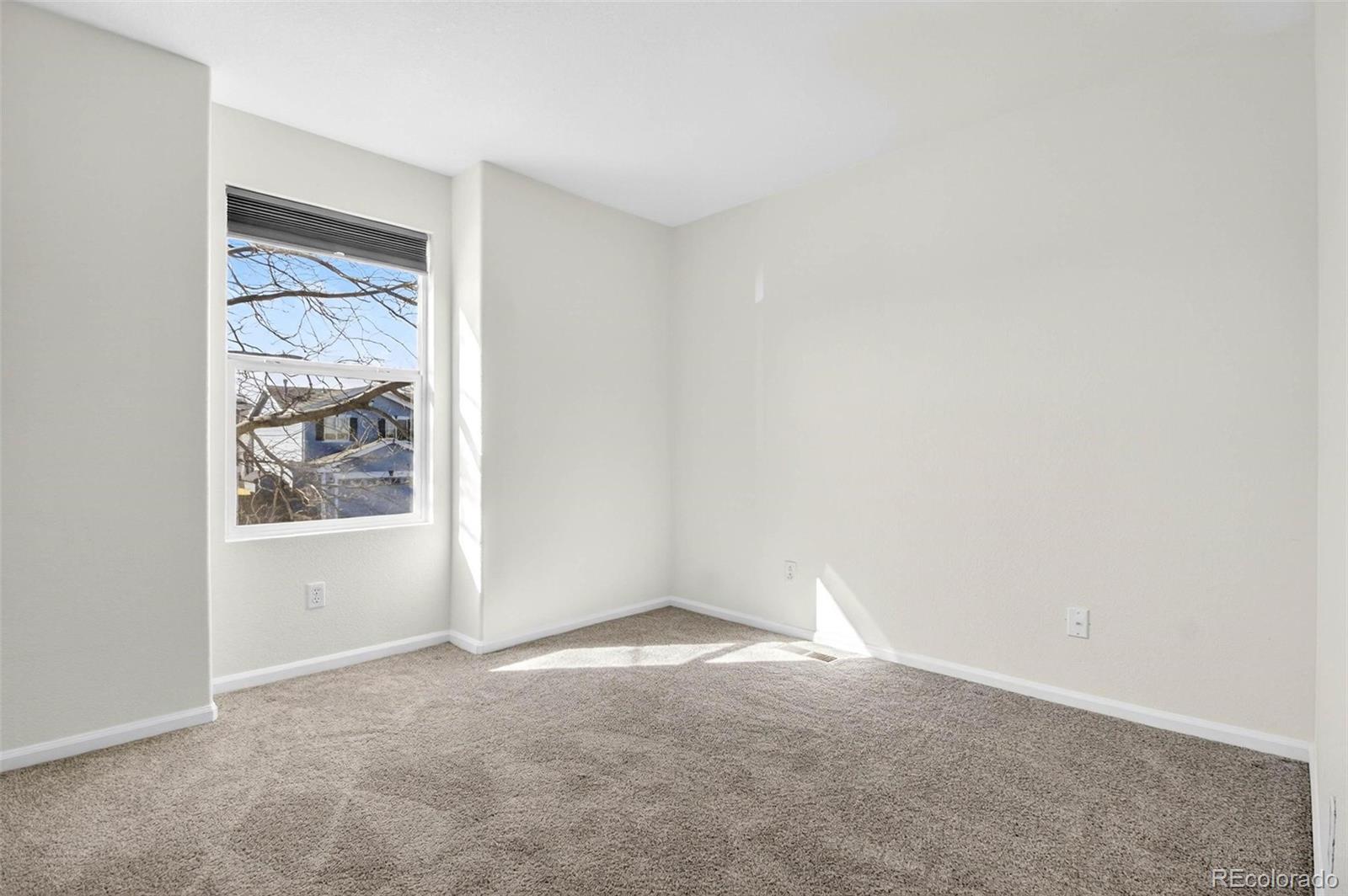 MLS Image #15 for 10699  butte drive ,longmont, Colorado