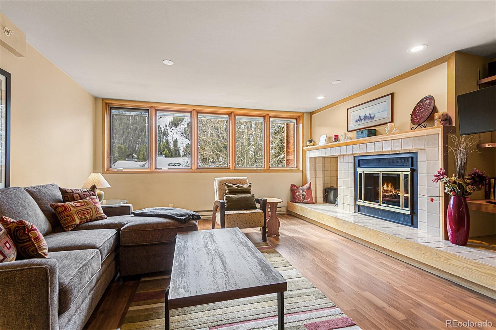 MLS Image #3 for 22864  us highway 6 ,keystone, Colorado