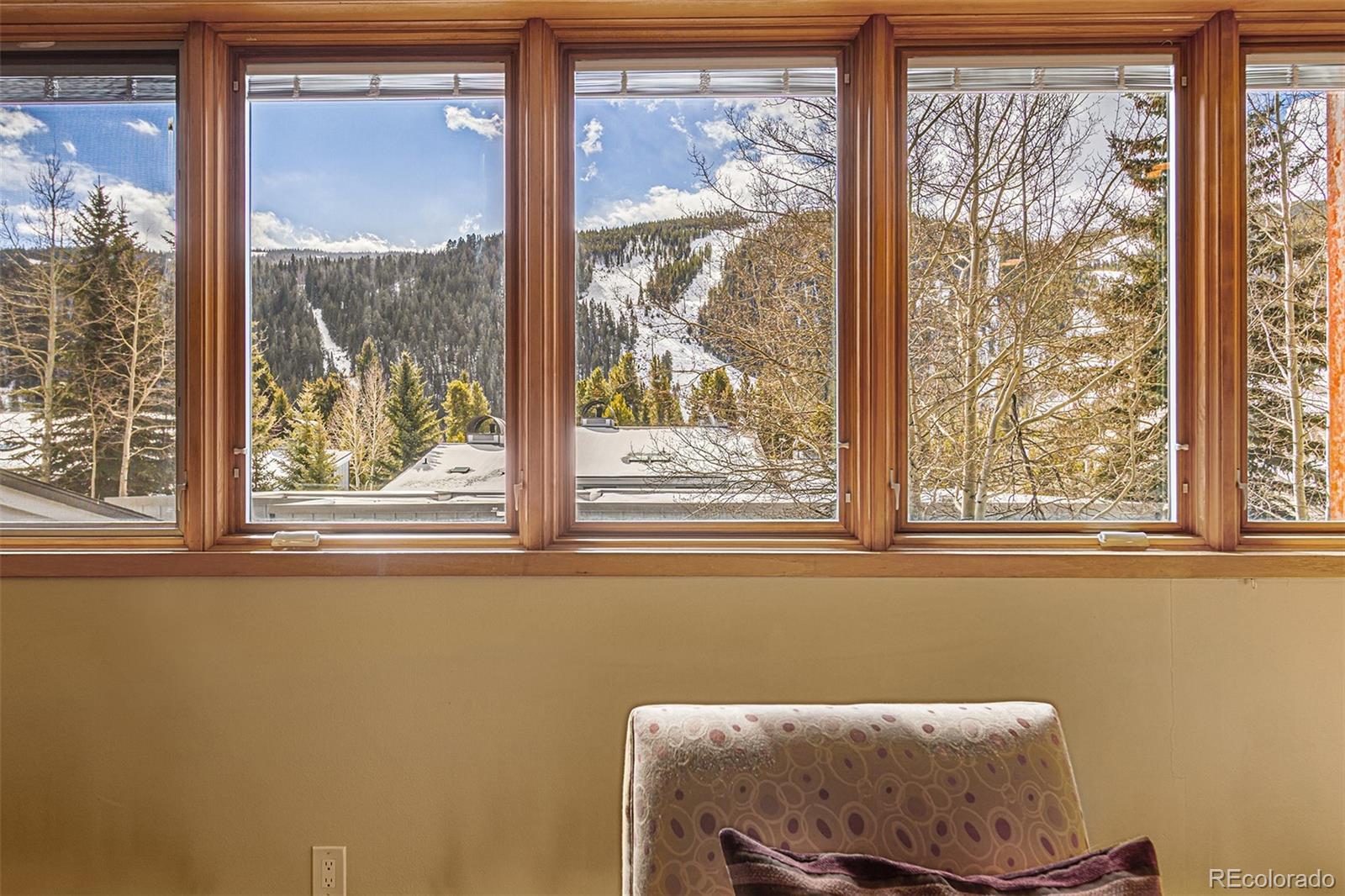 MLS Image #6 for 22864  us highway 6 ,keystone, Colorado