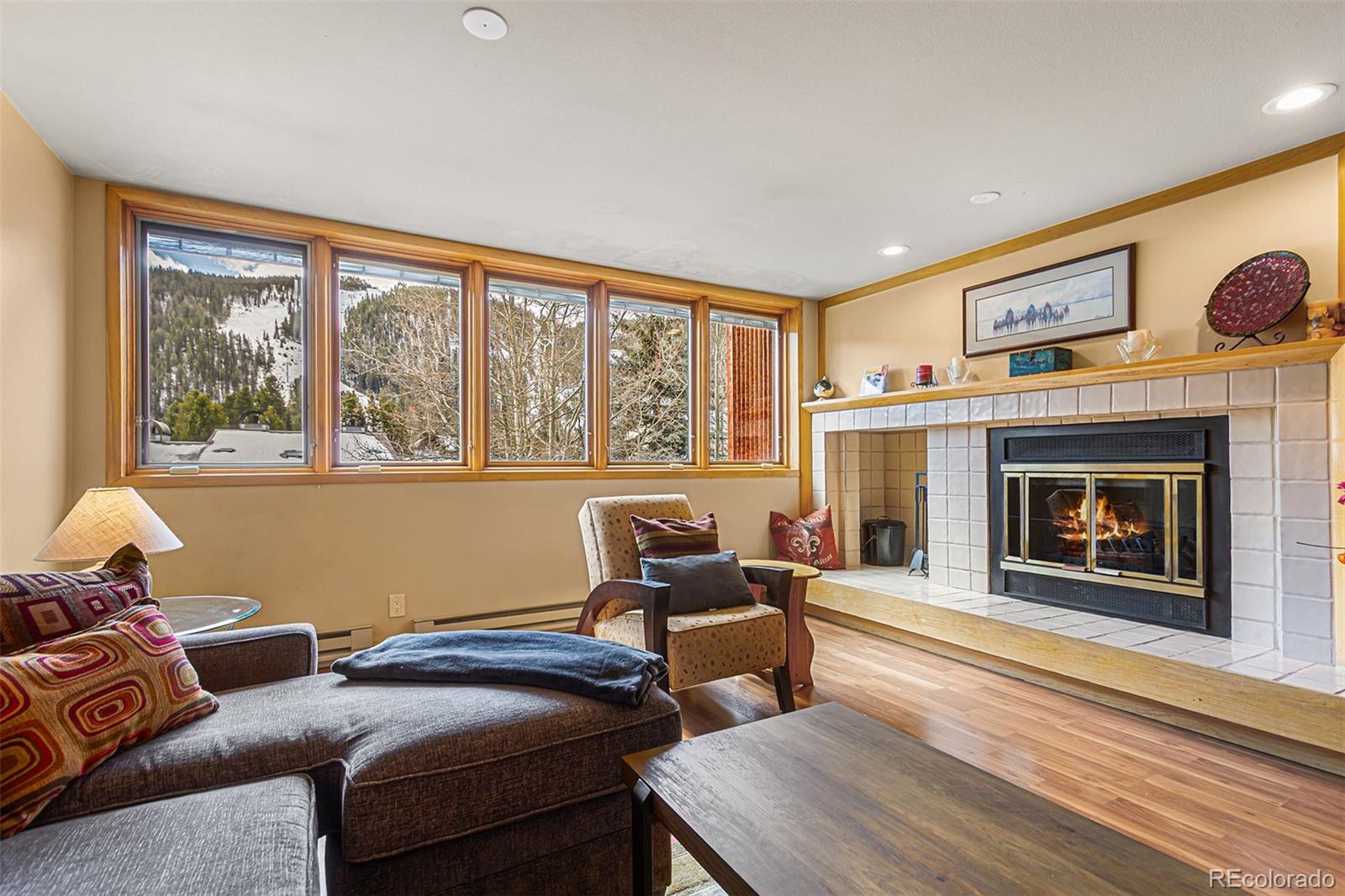 MLS Image #8 for 22864  us highway 6 ,keystone, Colorado