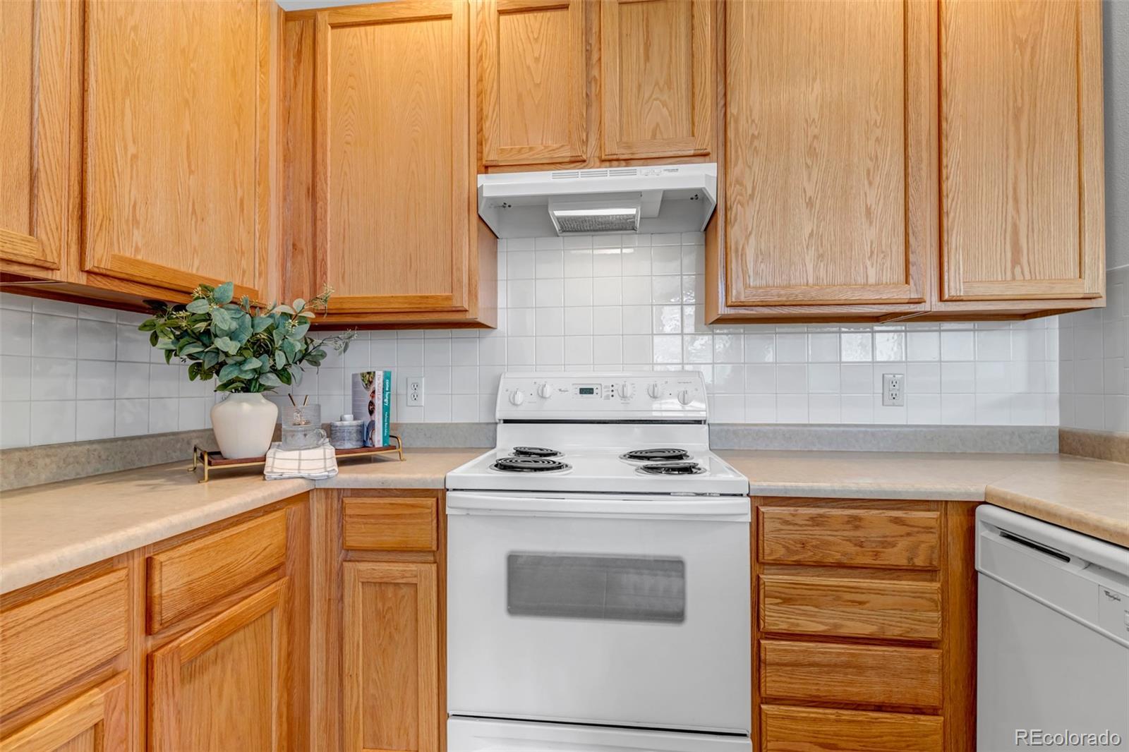 MLS Image #10 for 1237  carlyle park circle,highlands ranch, Colorado