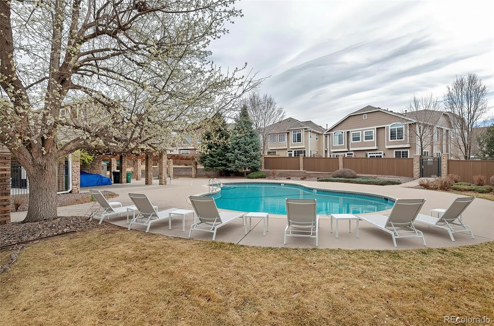 MLS Image #29 for 1237  carlyle park circle,highlands ranch, Colorado