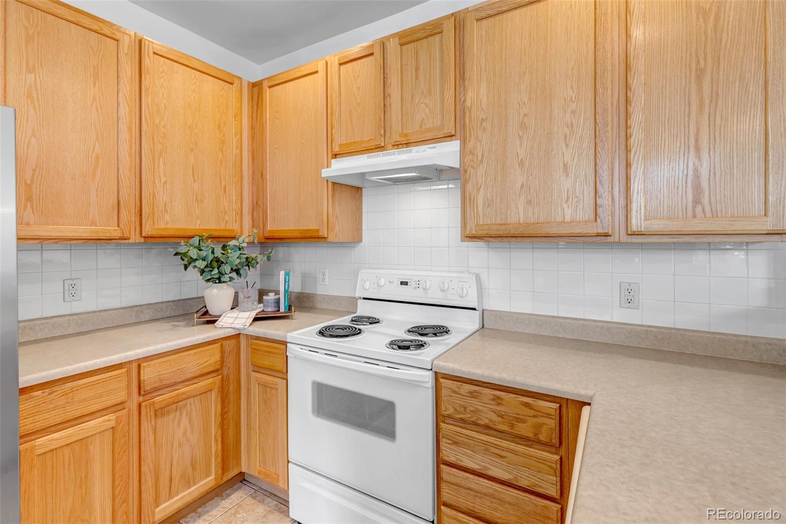 MLS Image #9 for 1237  carlyle park circle,highlands ranch, Colorado