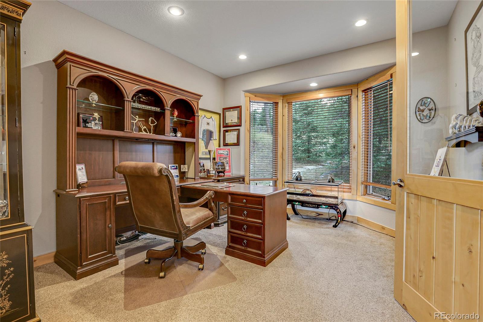 MLS Image #19 for 7790 s homesteader drive,morrison, Colorado