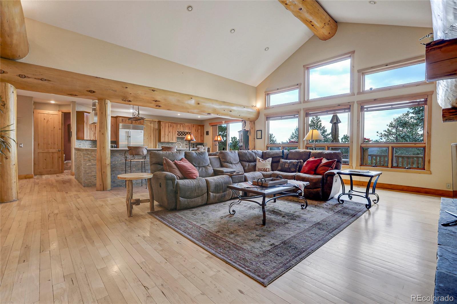 MLS Image #9 for 7790 s homesteader drive,morrison, Colorado