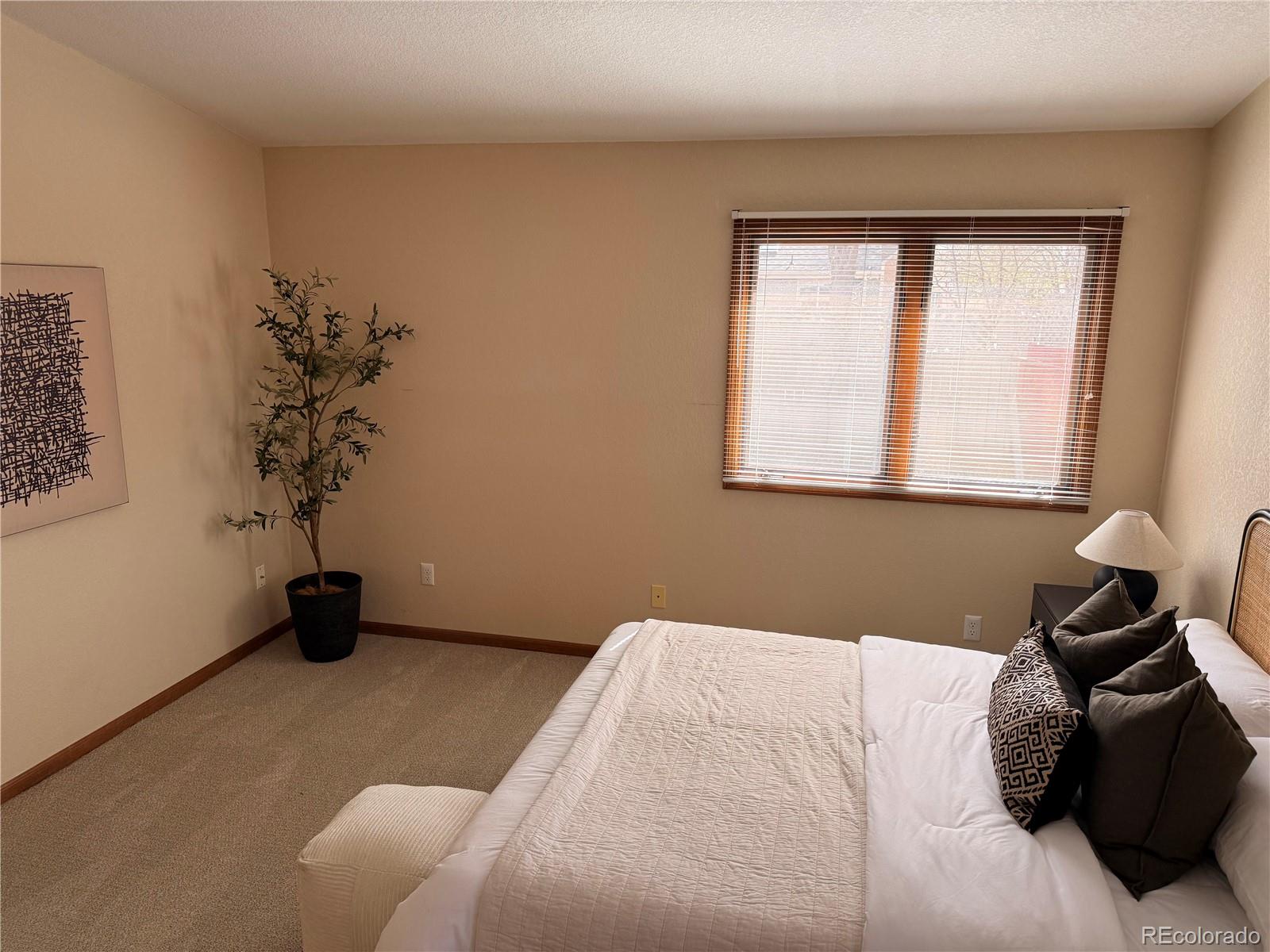 MLS Image #30 for 2367  northbrook drive,fort collins, Colorado