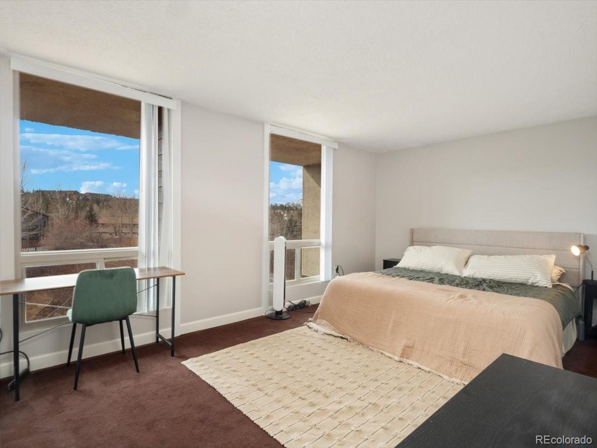 MLS Image #10 for 290  straight creek drive,dillon, Colorado