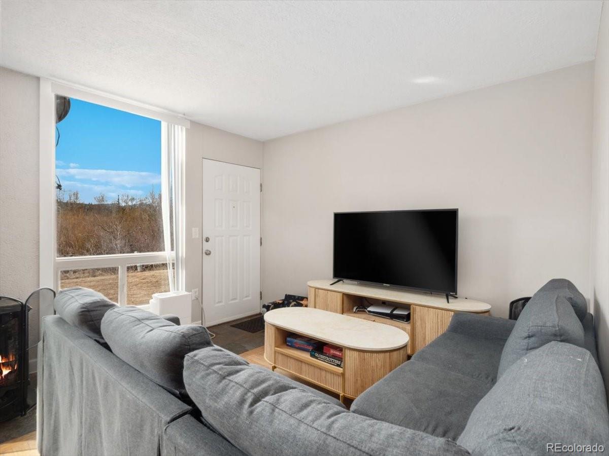 MLS Image #2 for 290  straight creek drive,dillon, Colorado