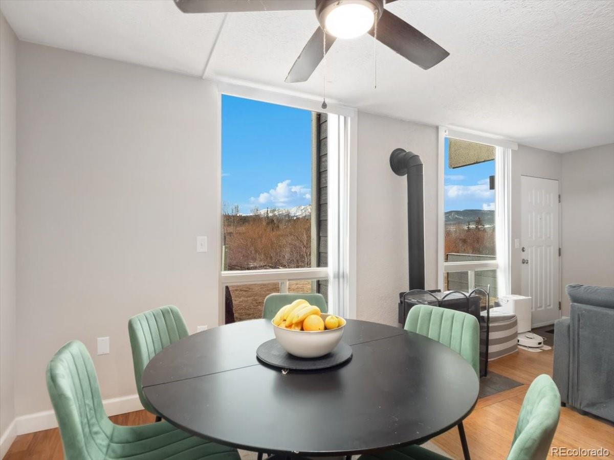 MLS Image #7 for 290  straight creek drive,dillon, Colorado