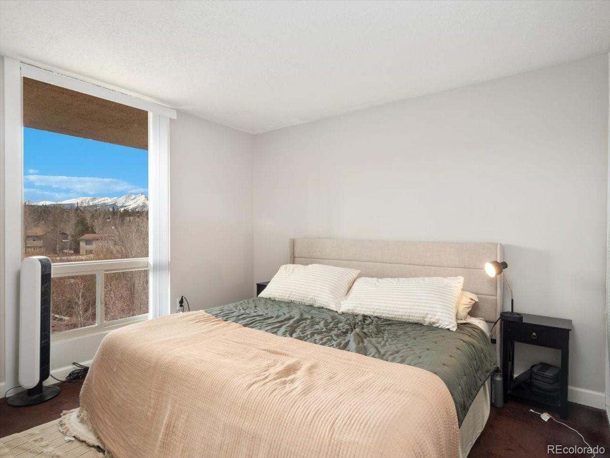 MLS Image #9 for 290  straight creek drive,dillon, Colorado