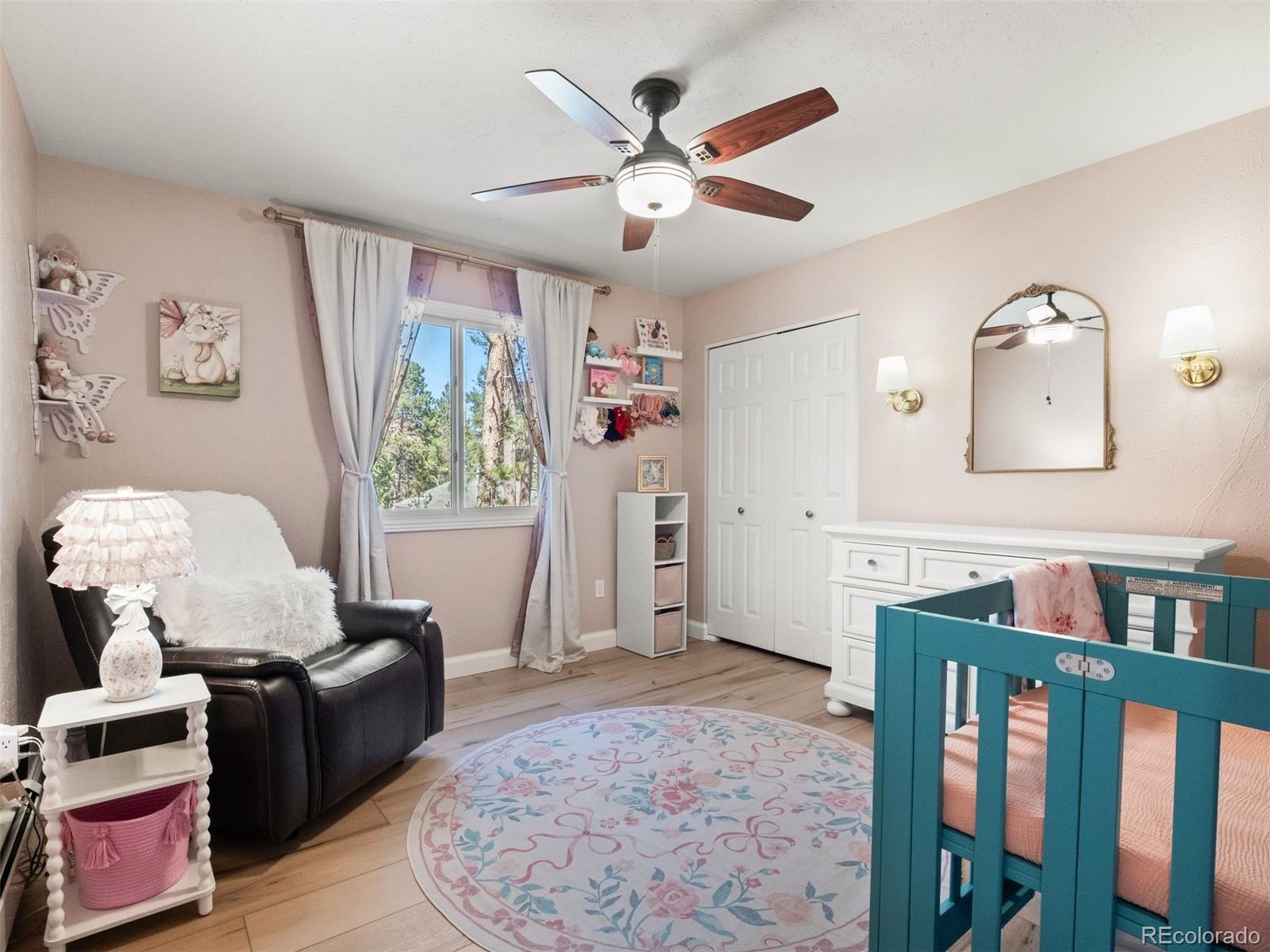 MLS Image #19 for 8815  rudd road,evergreen, Colorado