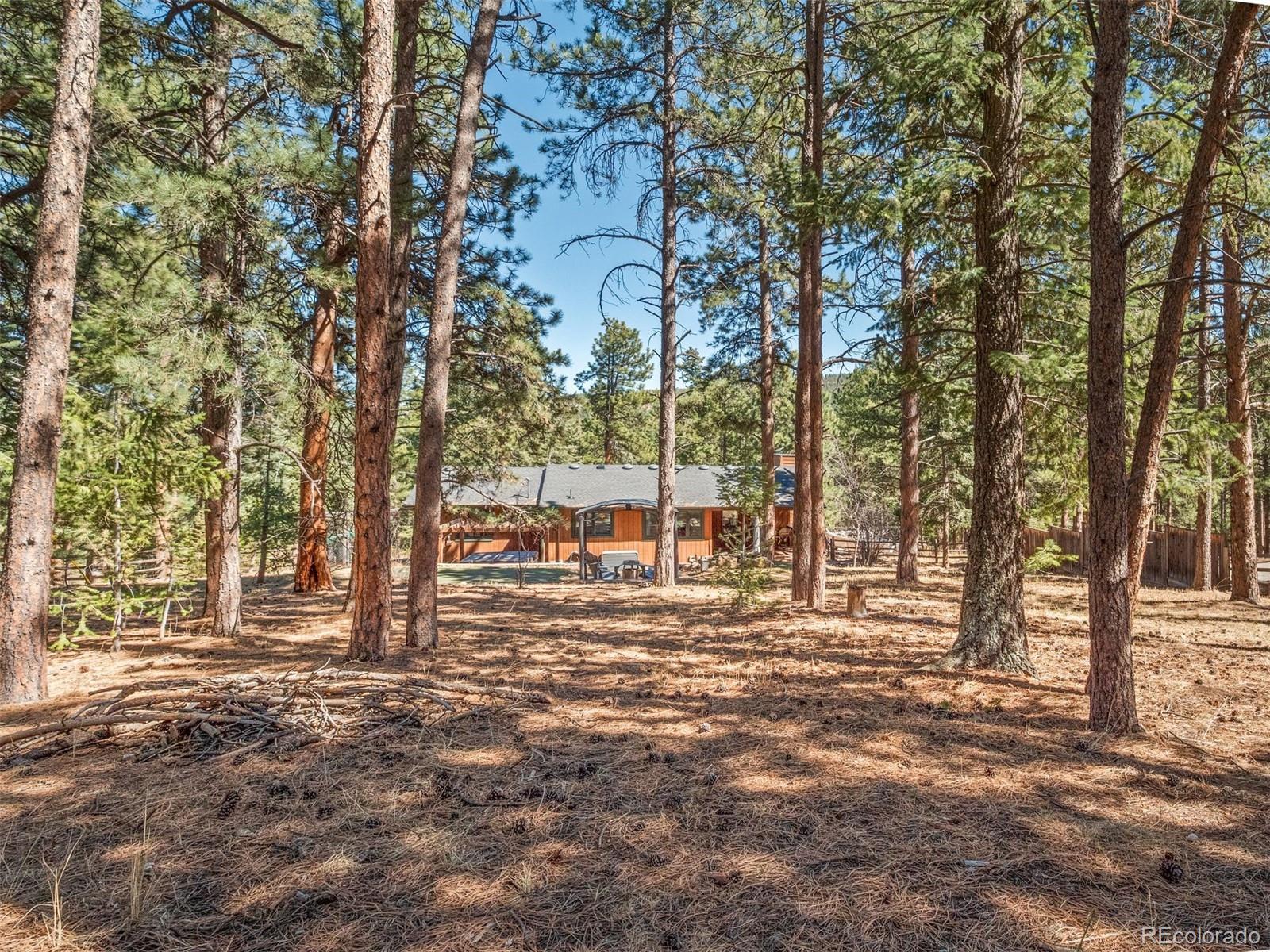 MLS Image #28 for 8815  rudd road,evergreen, Colorado