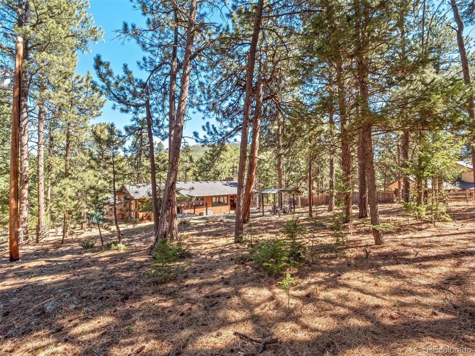 MLS Image #29 for 8815  rudd road,evergreen, Colorado