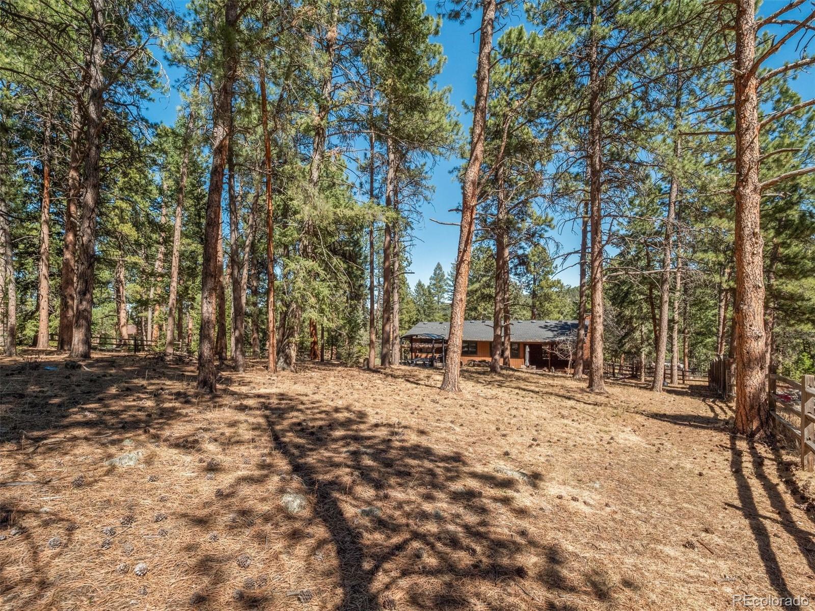 MLS Image #33 for 8815  rudd road,evergreen, Colorado