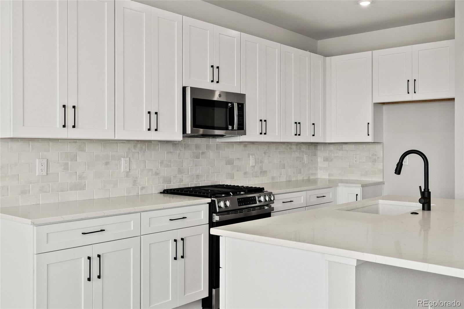 MLS Image #16 for 16426  lone wolf place,parker, Colorado